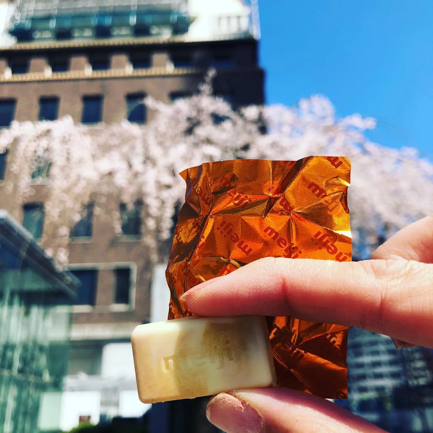 しだれ桜とキャラメルチョコレート