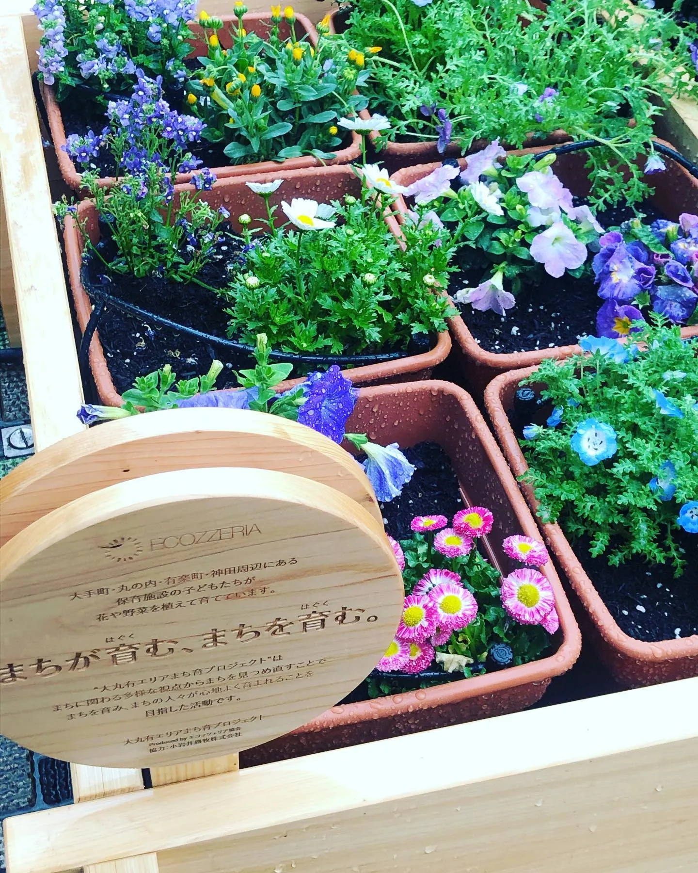 雨でも元気☔️