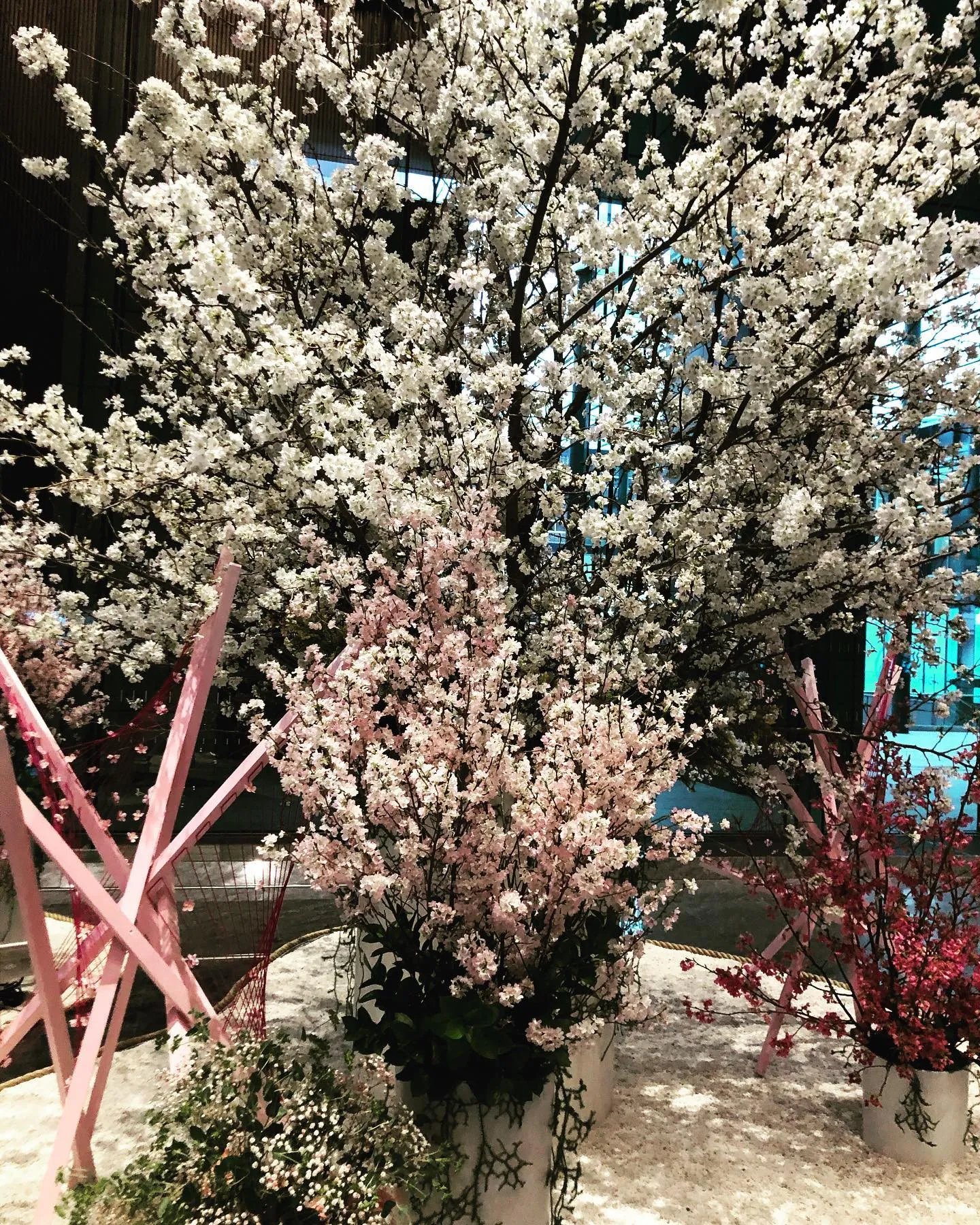 本日のお花　有名な紙屋さんのお近く