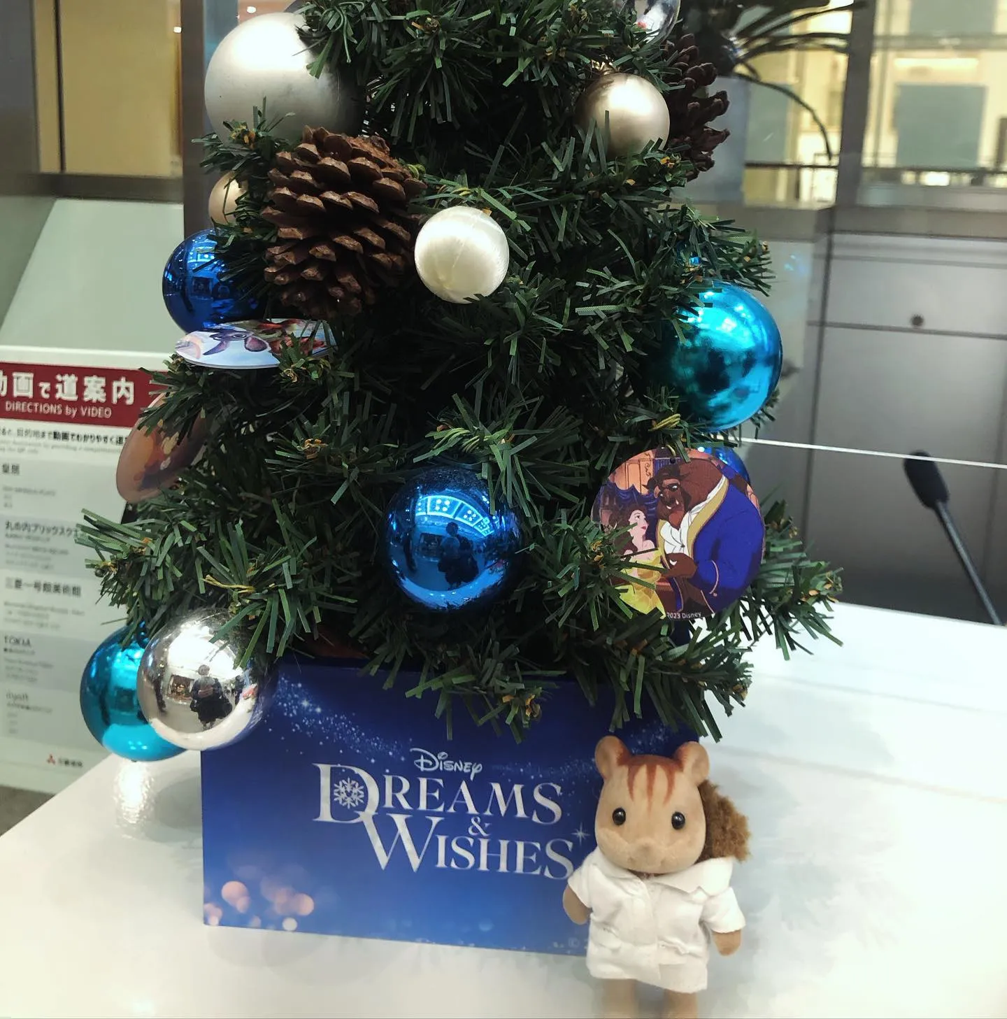 ただいま開催中🎄
