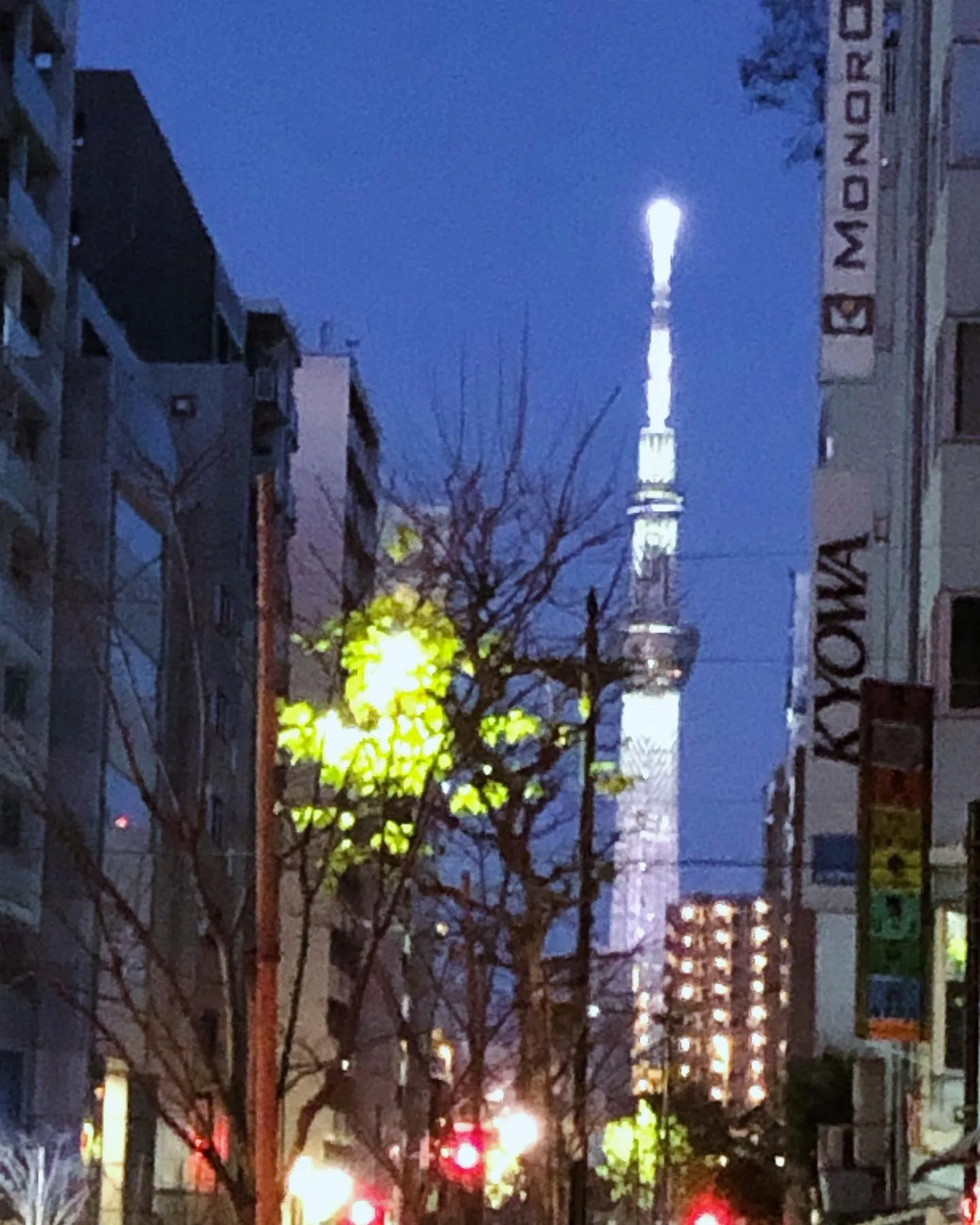 新年明けましておめでとうございます