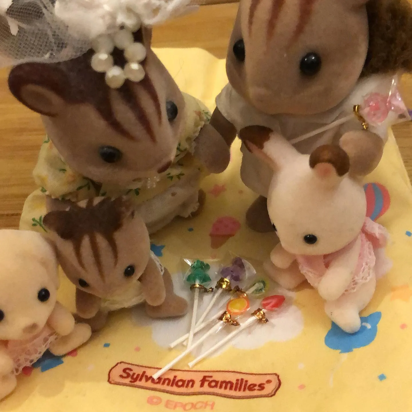 キャンディ🍭貰いました！