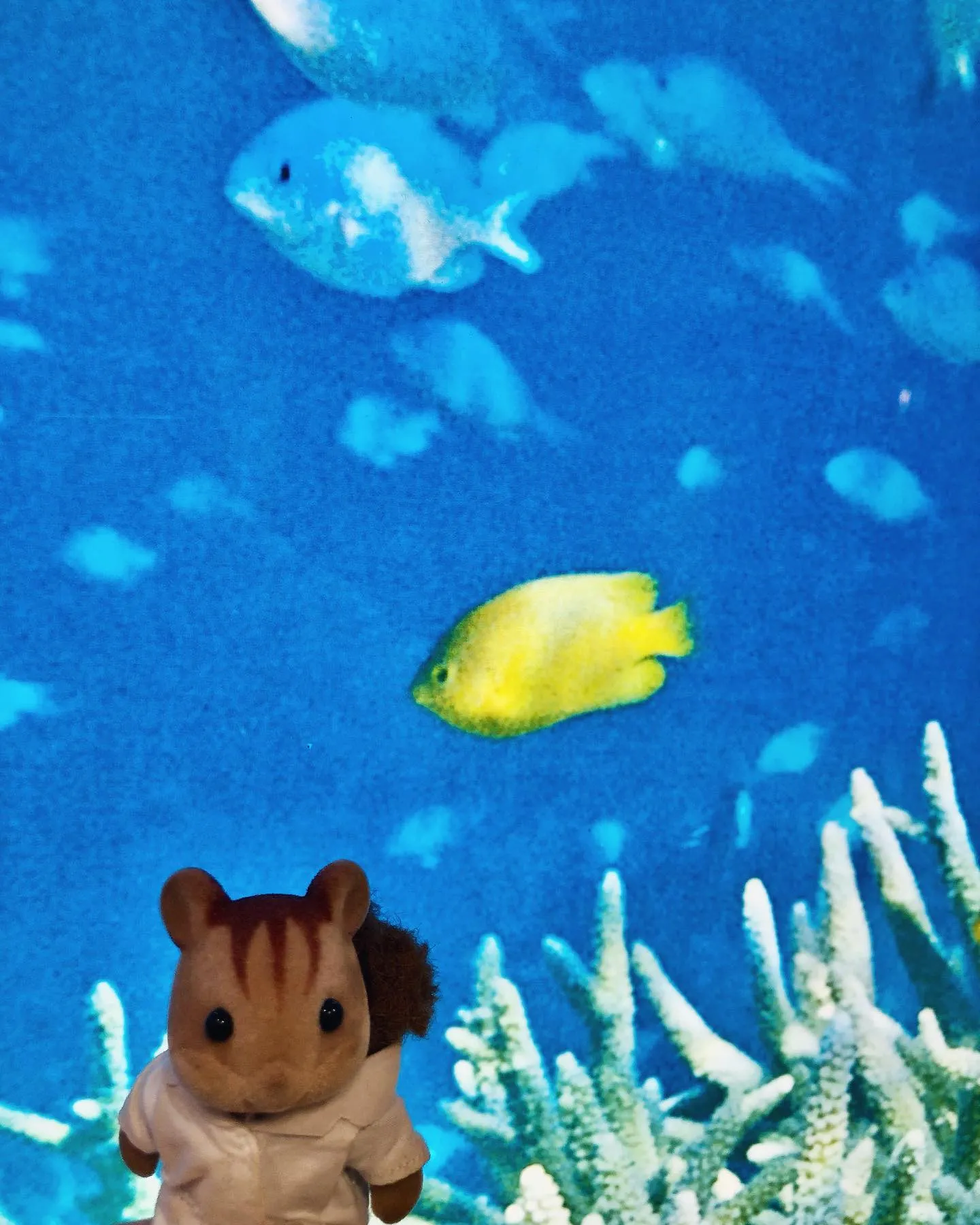 海物語風　　魚群